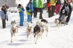 Lenk 2012 SM